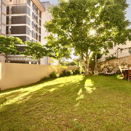 Vila Julieta Guesthouse Coimbra Ngoại thất bức ảnh